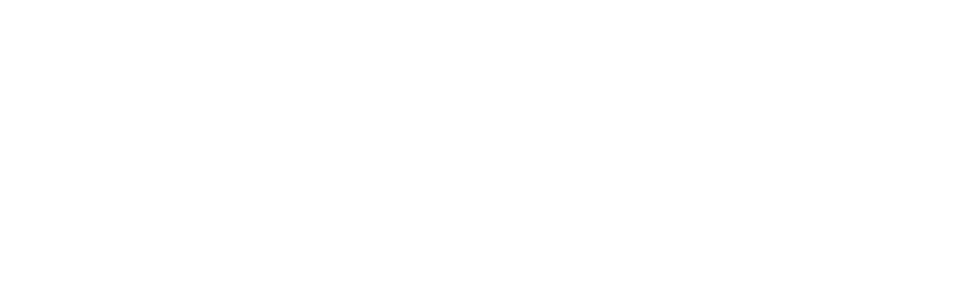 physical therapist
