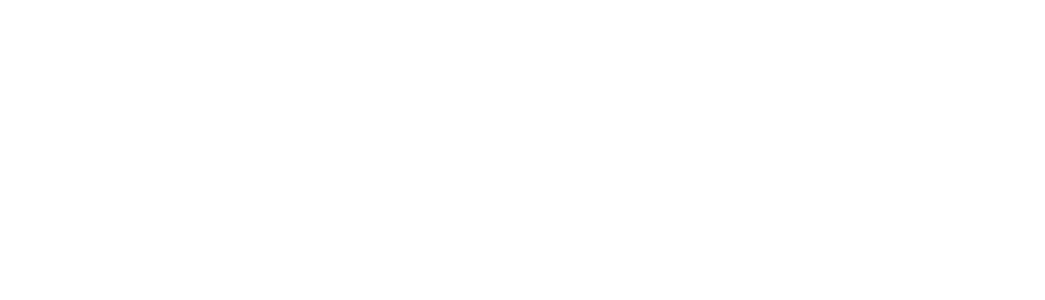 physical therapist
